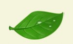 zielone
